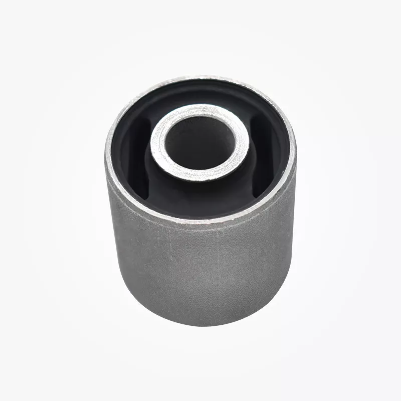 Swingarm bushings